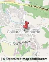 Articoli per Ortopedia Galliate Lombardo,21020Varese