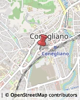 Commercialisti Conegliano,31015Treviso