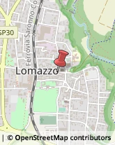 Erboristerie Lomazzo,22074Como