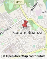 Pizzerie Carate Brianza,20841Monza e Brianza