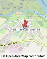 Alimentari Polesine Parmense,43010Parma