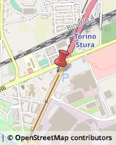 Stazioni di Servizio e Distribuzione Carburanti Torino,10156Torino