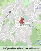 Pizzerie Selvino,24020Bergamo