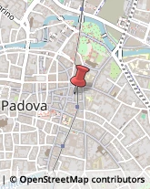 Pasticcerie - Dettaglio Padova,35122Padova