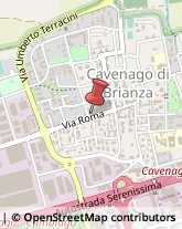 Giardinaggio - Servizio Cavenago di Brianza,20873Monza e Brianza