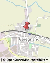 Serramenti ed Infissi in Legno Ceregnano,45010Rovigo