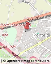 Agenti e Rappresentanti di Commercio,35129Padova