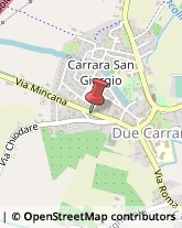 Piante e Fiori - Dettaglio Carrara San Giorgio,35020Padova