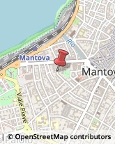 Consulenze Speciali Mantova,46100Mantova