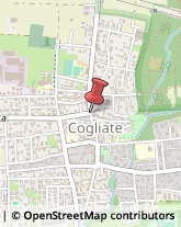 Gelaterie Cogliate,20815Monza e Brianza