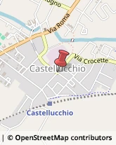 Autofficine e Centri Assistenza Castellucchio,46014Mantova