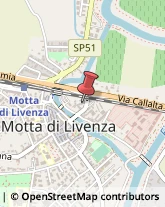 Onoranze e Pompe Funebri Motta di Livenza,31045Treviso