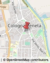 Palestre e Centri Fitness Cologna Veneta,37044Verona