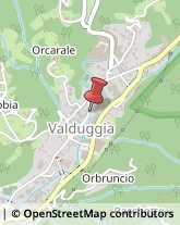 Frutta e Verdura - Dettaglio Valduggia,13018Vercelli