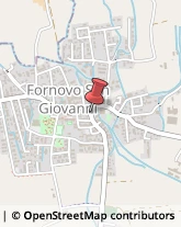 Piante e Fiori - Dettaglio Fornovo San Giovanni,24040Bergamo