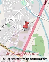 Autotrasporti Trivolzio,27020Pavia