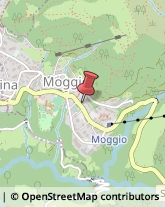 Falegnami Moggio,23817Lecco