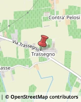 Via Trassegno, 23,36045Lonigo