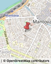 ,46100Mantova