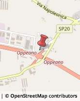 Legname da Lavoro Oppeano,37050Verona