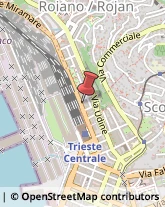 Agenzie Marittime,34135Trieste