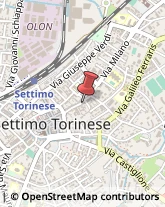 ,10036Torino