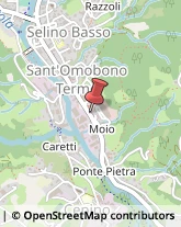 Gelaterie Sant'Omobono Terme,24038Bergamo