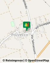 Cereali e Granaglie,33032Udine