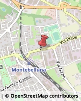 Automobili - Commercio Montebelluna,31044Treviso