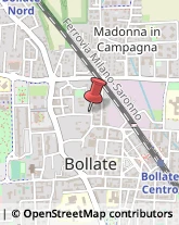 Alimentari, Vini, Bevande e Dolciari - Agenti e Rappresentanti Bollate,20021Milano