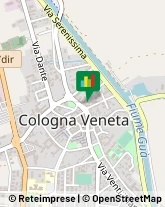 Ristoranti Cologna Veneta,37044Verona