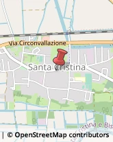 Piante e Fiori - Dettaglio Santa Cristina e Bissone,27010Pavia