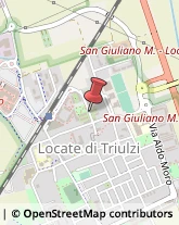 Autotrasporti Locate di Triulzi,20085Milano