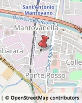 Spedizionieri Doganali Mantova,46100Mantova