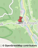 Falegnami Selva di Progno,37030Verona