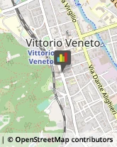 Elaborazione Dati - Servizio Conto Terzi Vittorio Veneto,31029Treviso