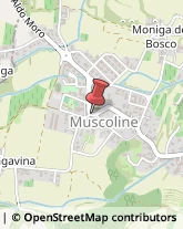 Assicurazioni Muscoline,25080Brescia