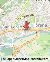 Consulenza di Direzione ed Organizzazione Aziendale,10015Torino