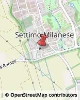 Falegnami Settimo Milanese,20019Milano