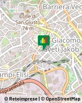 Decoratori,34144Trieste