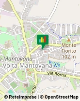 ,46049Mantova