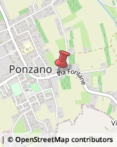 Feste - Organizzazione e Servizi Ponzano Veneto,31050Treviso