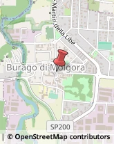 Ospedali Burago di Molgora,20875Monza e Brianza