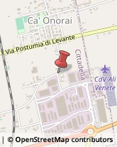 Pulizia Canne Fumarie e Caldaie Cittadella,35013Padova