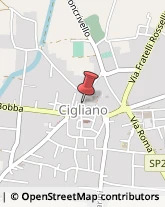 Gelaterie Cigliano,13043Vercelli