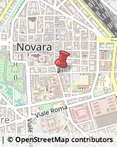 Vivai Piante e Fiori,28100Novara