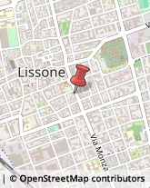 Conserve Lissone,20851Monza e Brianza