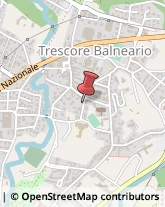 Autotrasporti Trescore Balneario,24069Bergamo