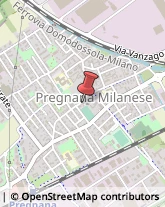 Manutenzione Stabili Pregnana Milanese,20010Milano