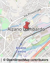 Associazioni Sindacali Alzano Lombardo,24022Bergamo